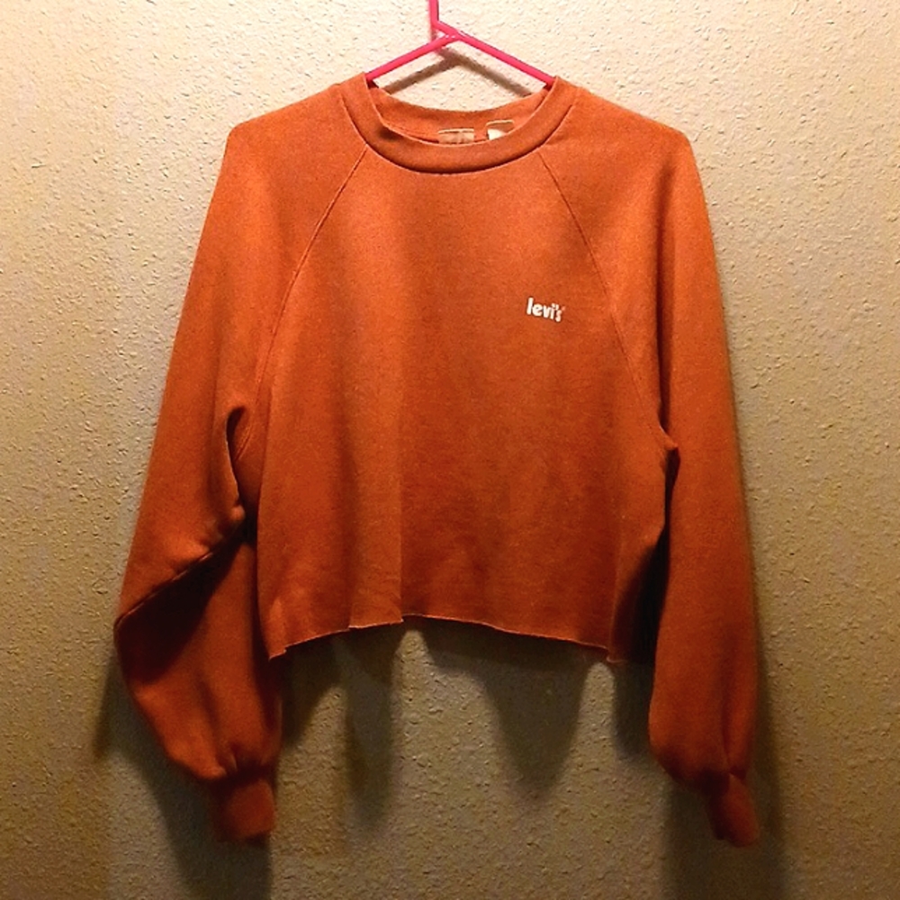 Levi's cropped sweatshirt